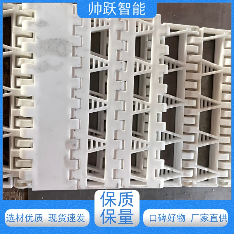 帅跃智能 果蔬清洗输送带 POM塑料链板 防粘性佳耐腐蚀