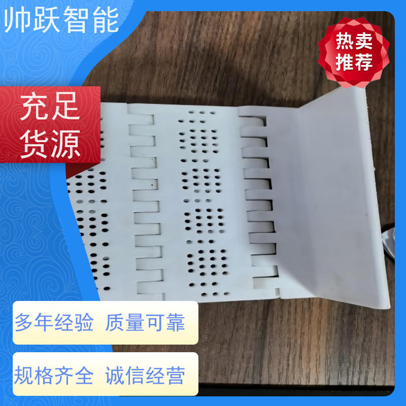 帅跃智能 pp耐高温输送带 OPB圆孔塑料链板 摩擦系数小