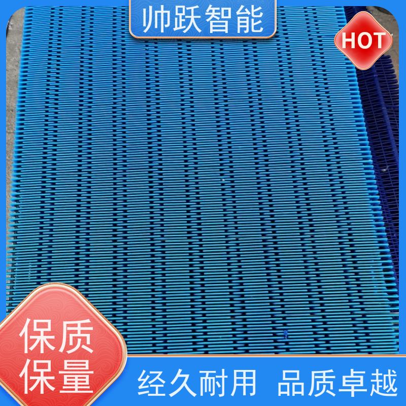 帅跃智能 食品输送带经久耐用 瓦楞纸箱塑料链板 支持加工定制