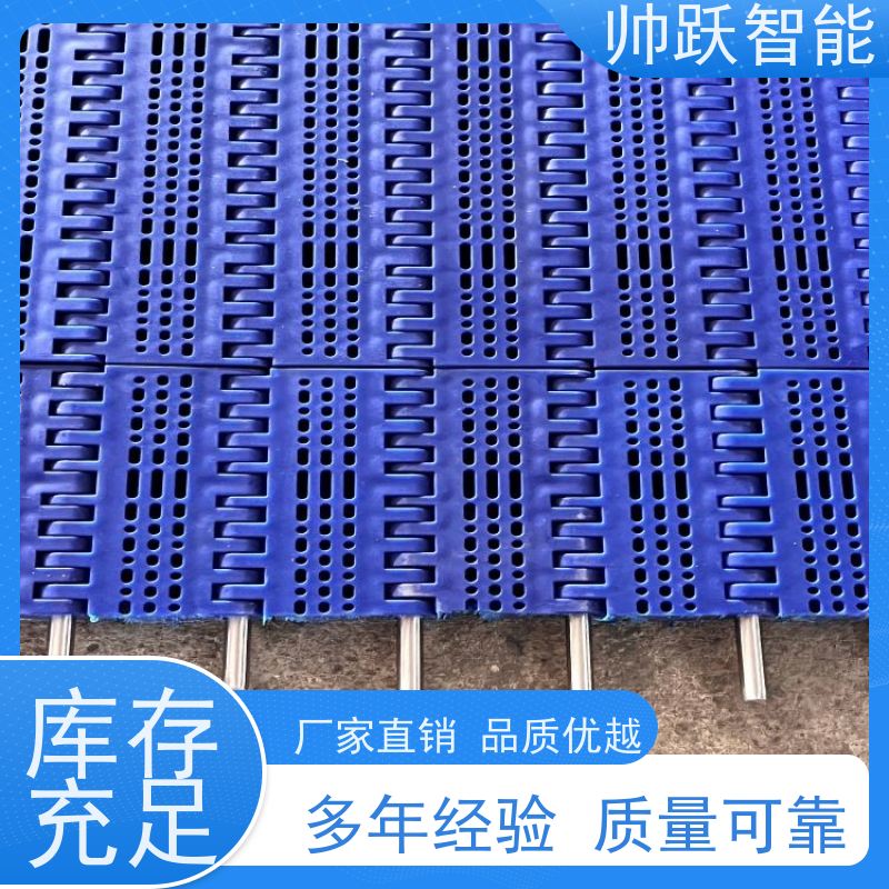 帅跃智能 果蔬清洗输送带 POM塑料链板 适用于工业行业
