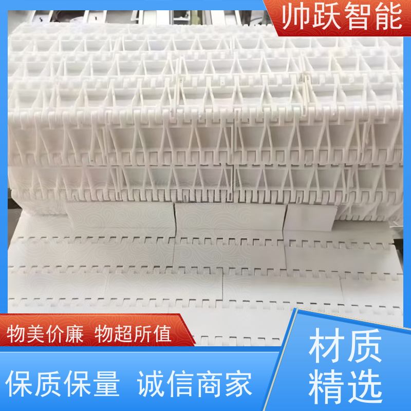 帅跃智能 pp耐高温输送带 水产分拣塑料链板 防粘性佳耐腐蚀