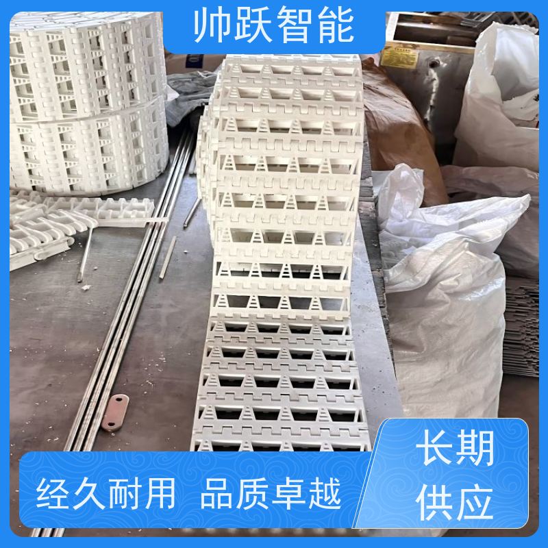 帅跃智能 果蔬清洗输送带 POM塑料链板 支持加工定制