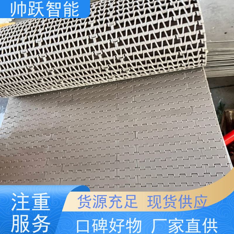 帅跃智能 pp挡板式塑料网带 提盖机链板 工业专用 运行稳定