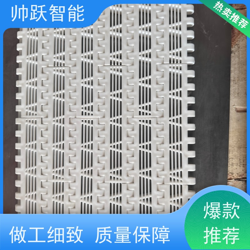 帅跃智能 饮料包装生产流水线 瓶盖塑料链板 摩擦系数小