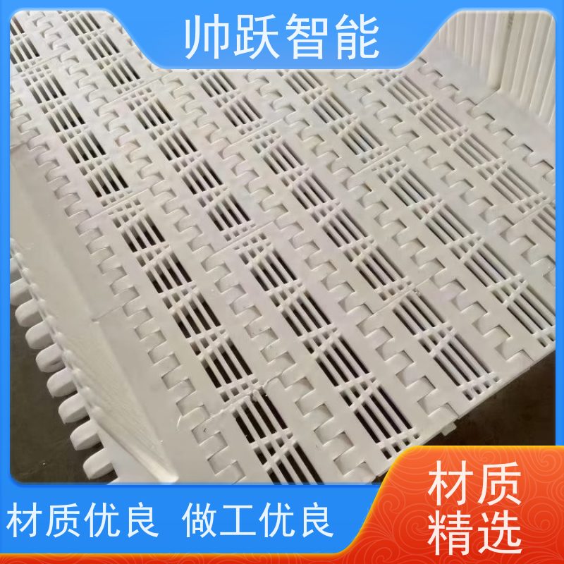帅跃智能 饮料包装生产流水线 提盖机链板 支持加工定制