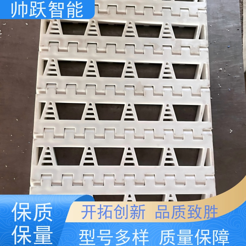 帅跃智能 纸张印刷流水线 水产分拣塑料链板 适用于工业行业
