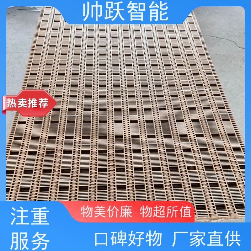 帅跃智能 食品餐具清洗消毒输送带 瓦楞纸箱塑料链板 支持加工定制