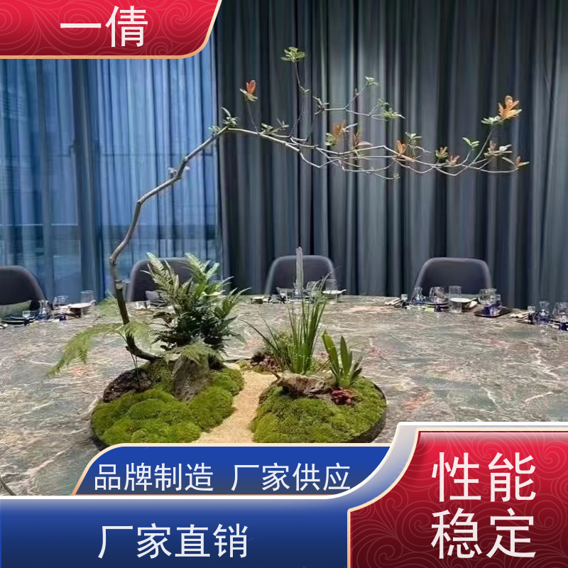 一倩花卉 前台 60盆四季桔 室内植物出租 种类繁多 规格齐全