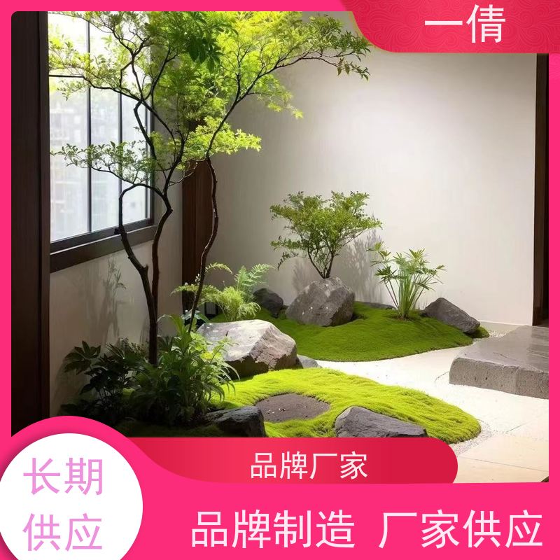 一倩花卉 办公室 黄蝴蝶兰 绿植租赁 全城配送 上门养护