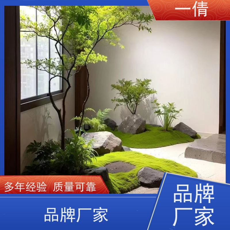 一倩花卉 室内 棕竹 开业花篮租赁 桌面绿植 花木护理