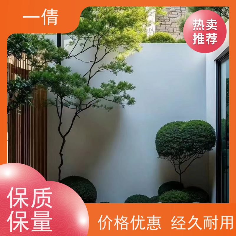 一倩花卉 室内 中杨贵妃 开业花篮租赁 净化空气