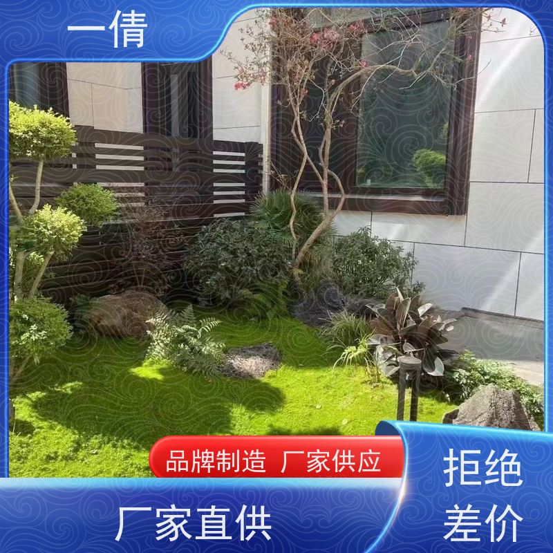 一倩花卉 办公室 砖石翡翠 开业花篮租赁 全城配送 上门养护