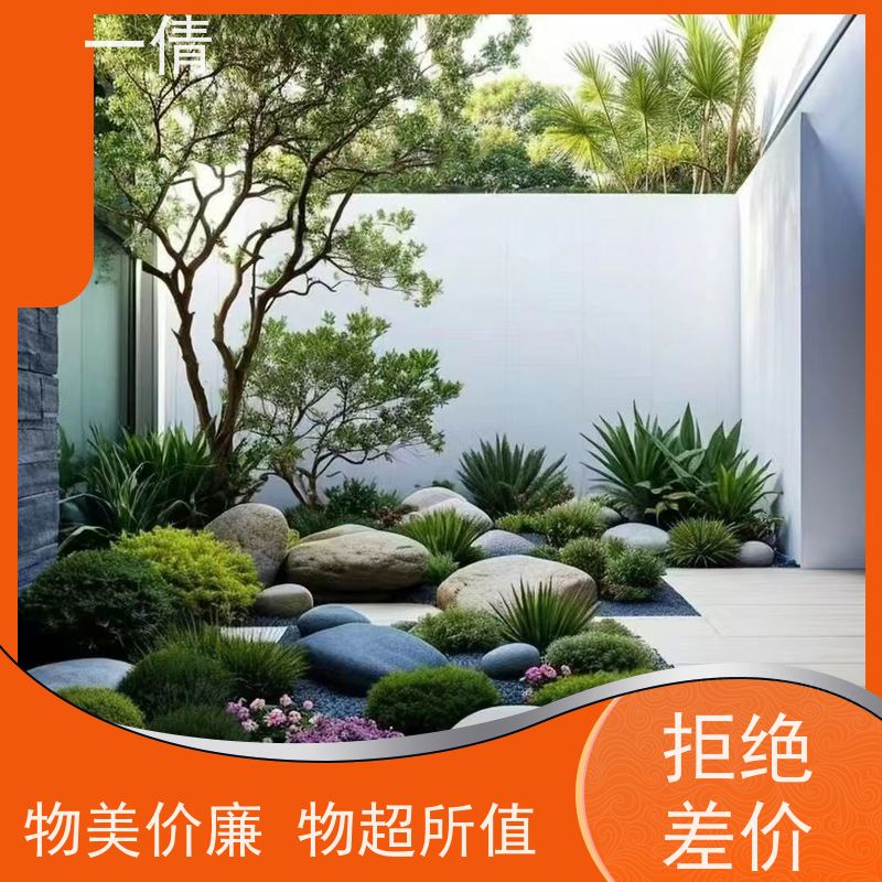 一倩花卉 深圳 也门铁 开业花篮租赁 全城配送 上门养护