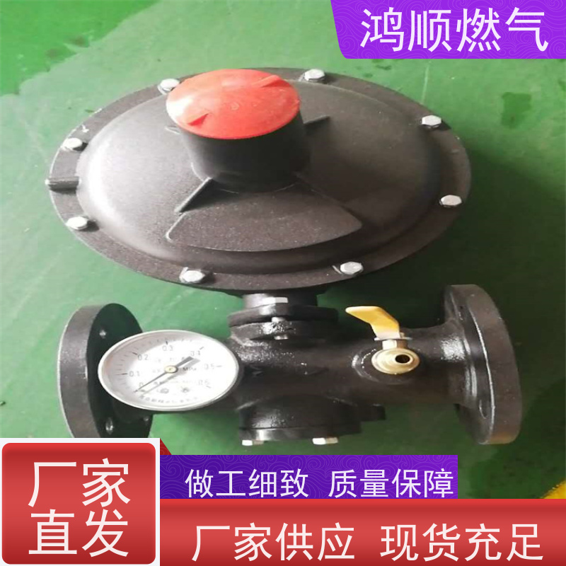 鸿顺 厂家供应 DN50燃气调压器 结构合理坚固耐用 按需定制