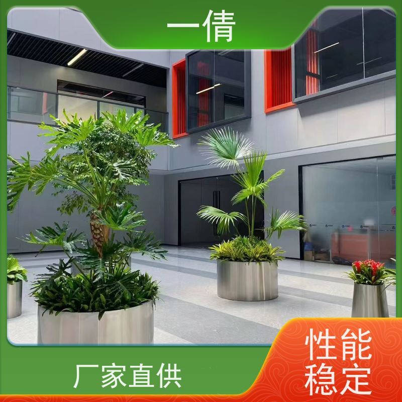 一倩花卉 室内 佛手 花卉租赁 种类繁多 规格齐全