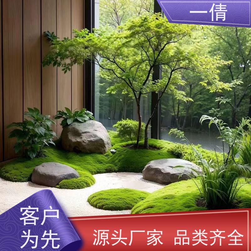 一倩花卉 室内 富贵竹 绿植租摆 全城配送 上门养护