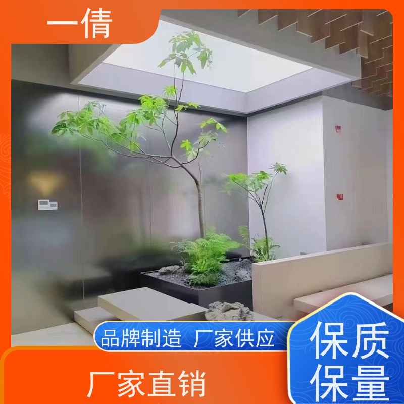 一倩花卉 前台 黄杨 绿植租赁 全城配送 上门养护