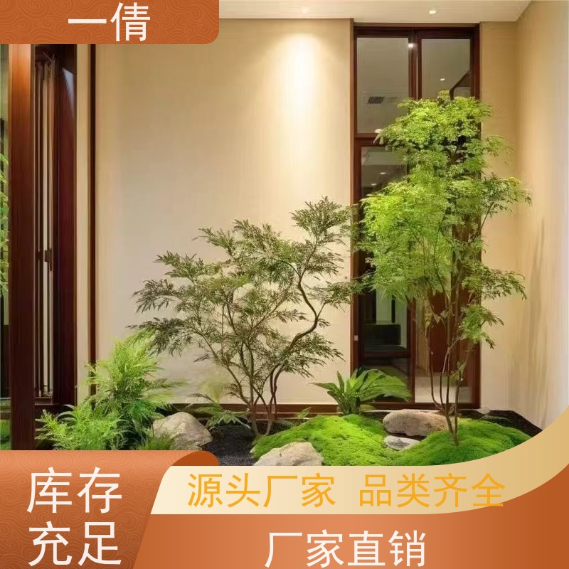 一倩花卉 办公室 7寸盆四季桔 花卉租赁 种类繁多 规格齐全