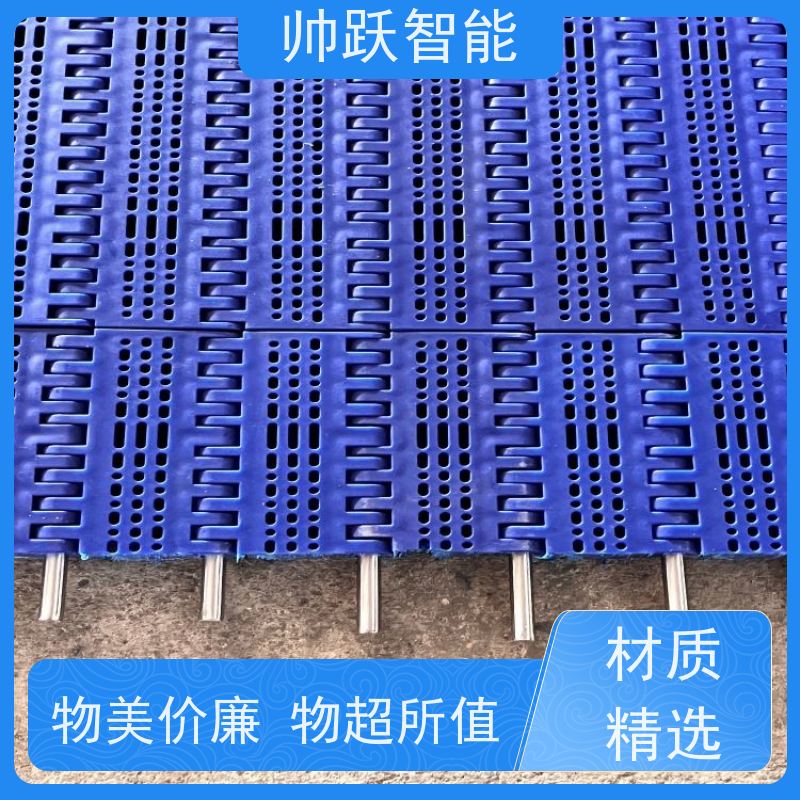 帅跃智能 粮食加工提升输送带 水产分拣塑料链板 工业专用 运行稳定