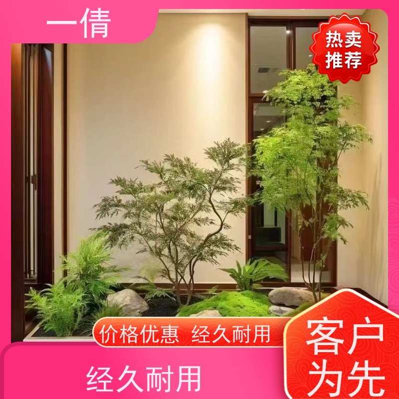一倩花卉 前台 翡翠 绿植出售 全城配送 上门养护