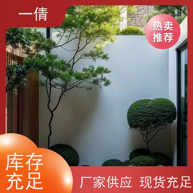 一倩花卉 办公室 蓝宝石 开业花篮租赁 桌面绿植 花木护理