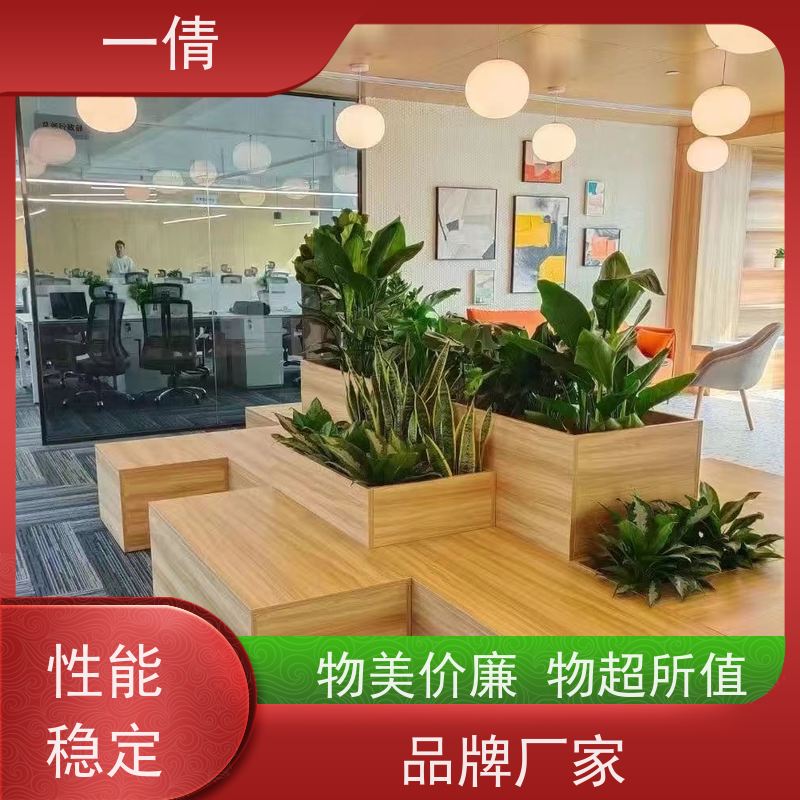 一倩花卉 办公室 金钻 绿植租赁 全城配送 上门养护