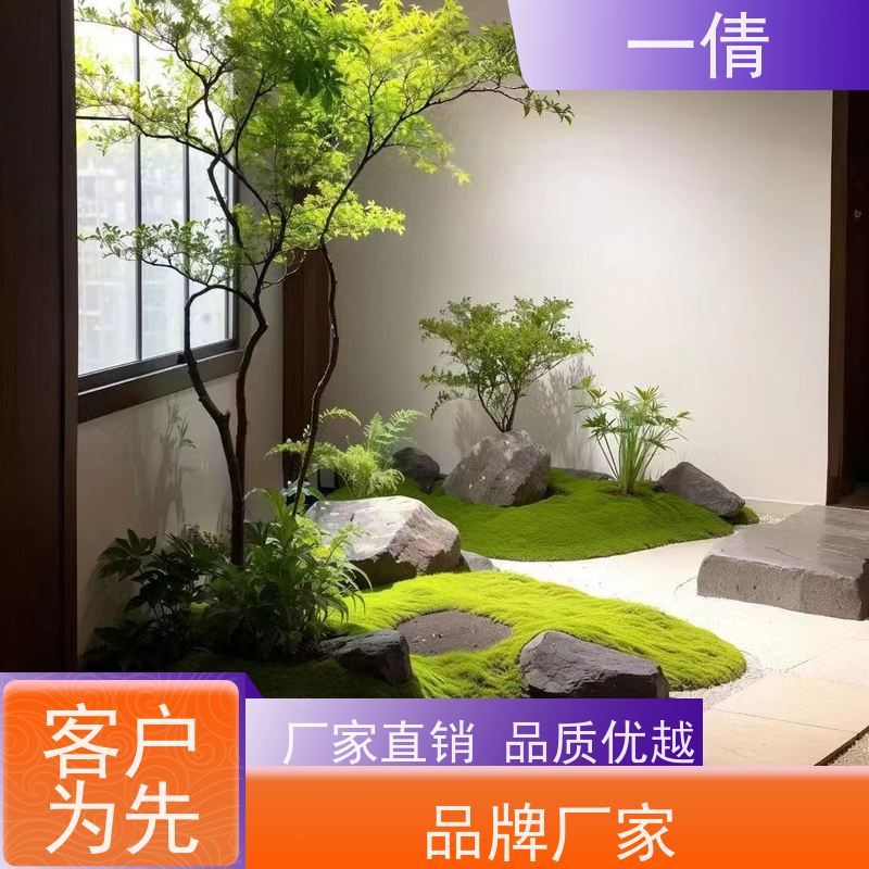 一倩花卉 室内 金心铁 绿植租赁 种类繁多 规格齐全