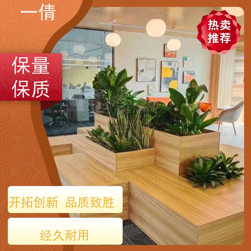 一倩花卉 办公室 大年桔盆景 开业花篮租赁 桌面绿植 花木护理