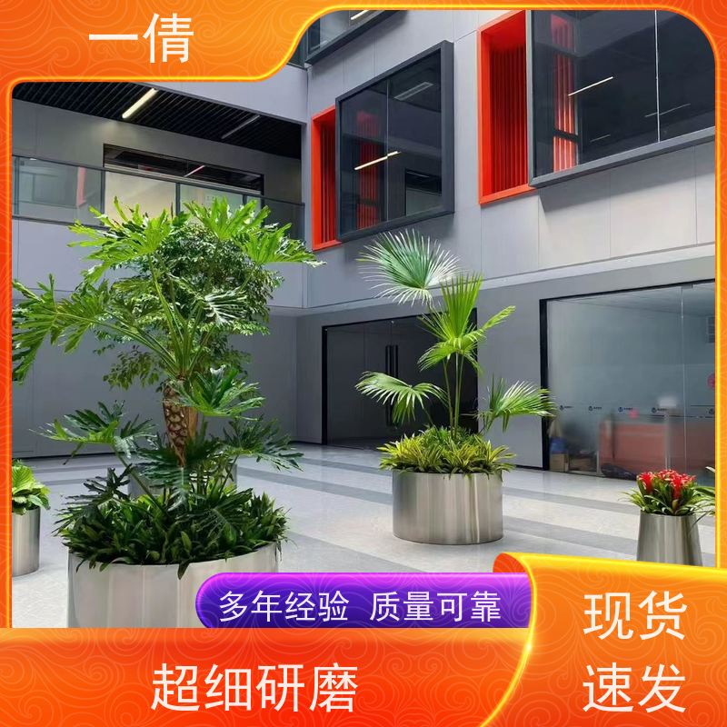 一倩花卉 办公室 保罗 室内植物出租 种类繁多 规格齐全