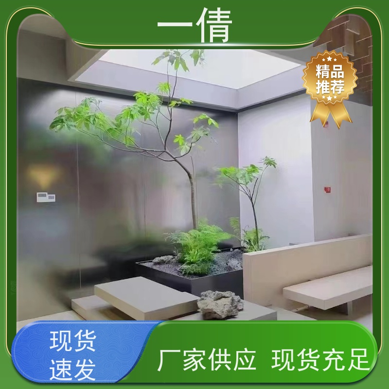 一倩花卉 办公室 吉利红 花卉租赁 种类繁多 规格齐全