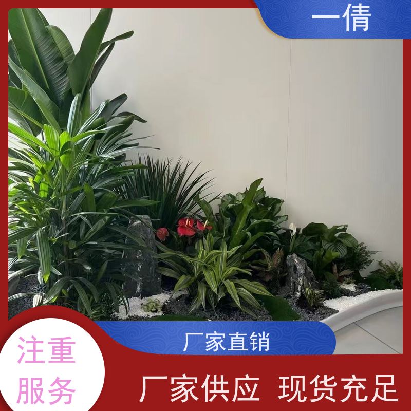 一倩花卉 深圳 保罗 花卉租赁 全城配送 上门养护