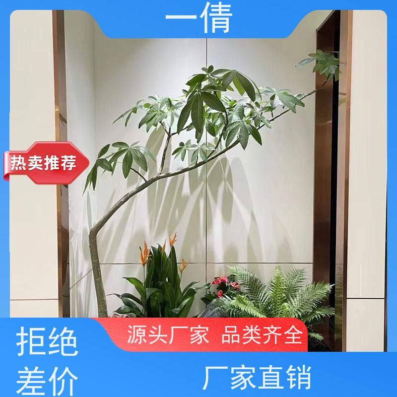 一倩花卉 办公室 翡翠 开业花篮租赁 全城配送 上门养护