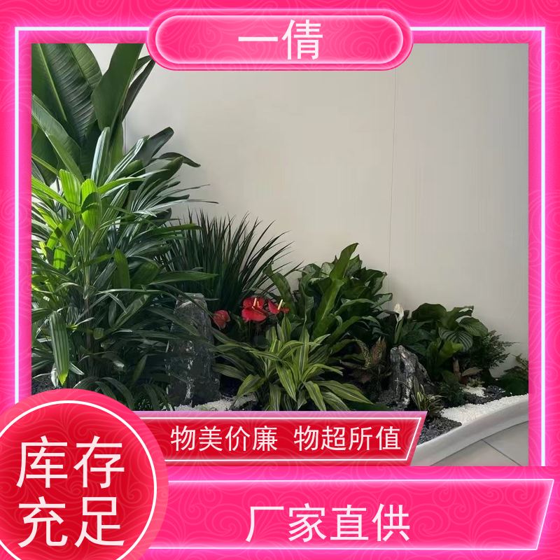 一倩花卉 前台 红蝴蝶兰 花卉租赁 全城配送 上门养护