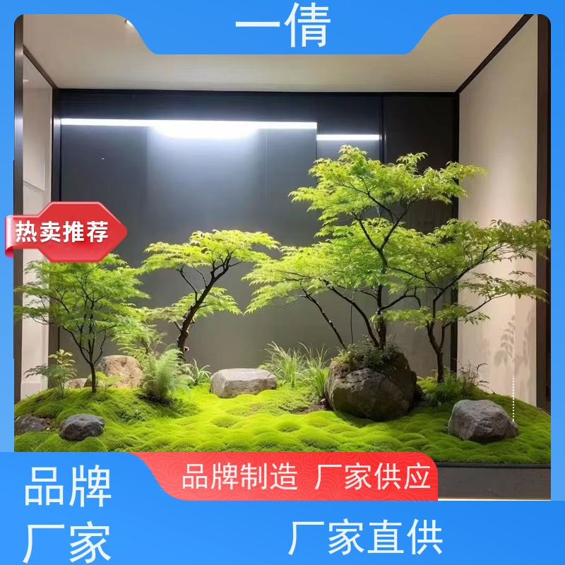 一倩花卉 前台 量天尺 绿植租赁 全城配送 上门养护