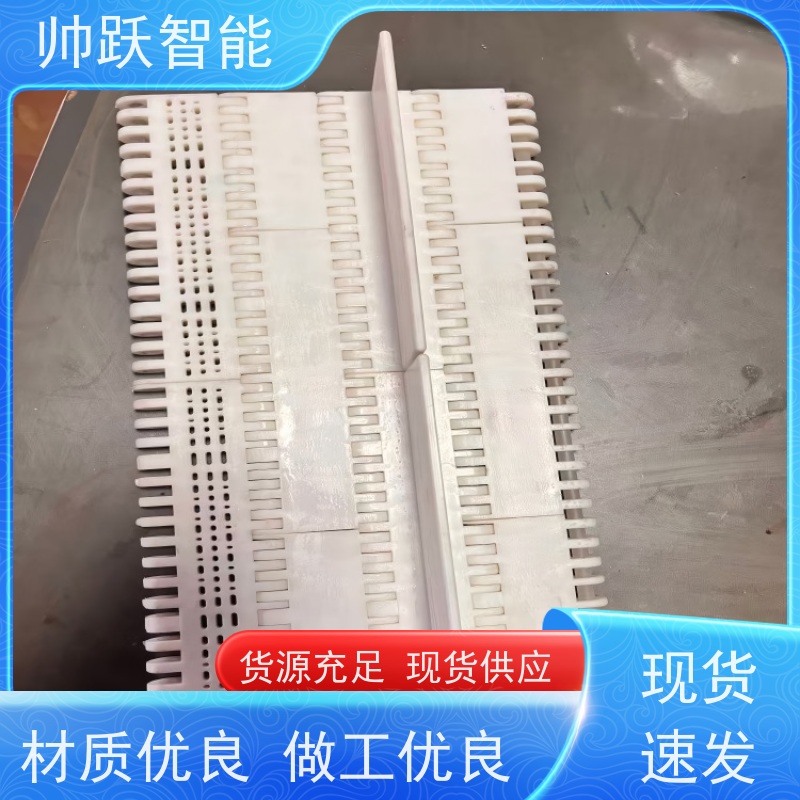 帅跃智能 饮料包装生产流水线 水产分拣塑料链板 支持加工定制