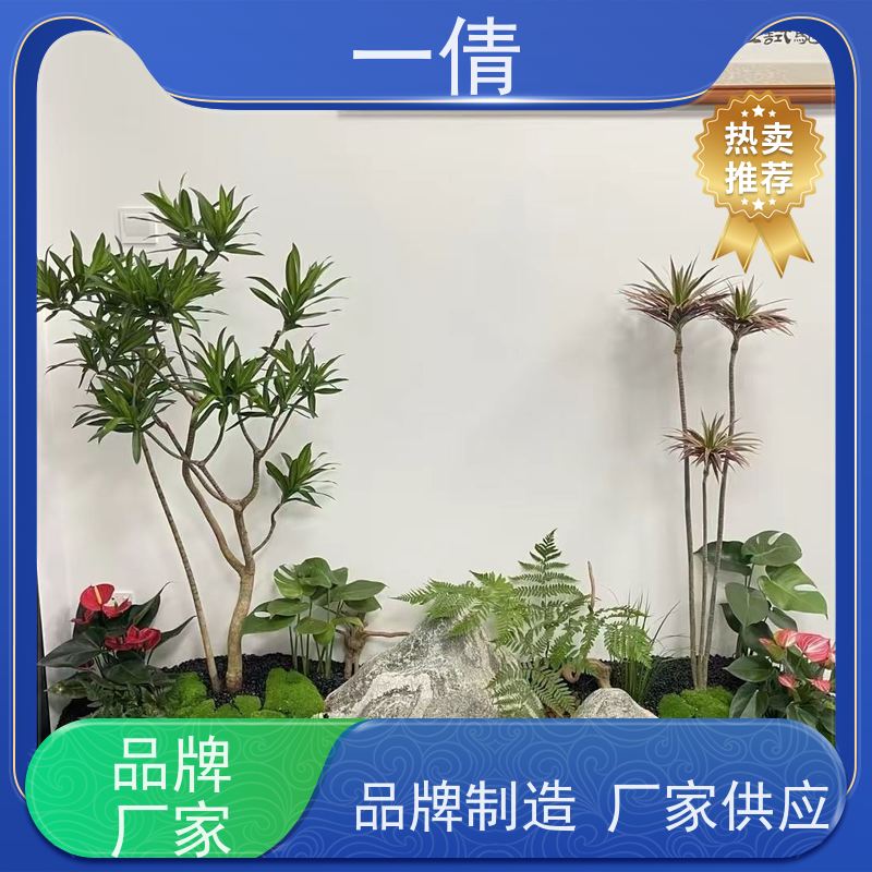 一倩花卉 室内 天堂鸟 开业花篮租赁 全城配送 上门养护