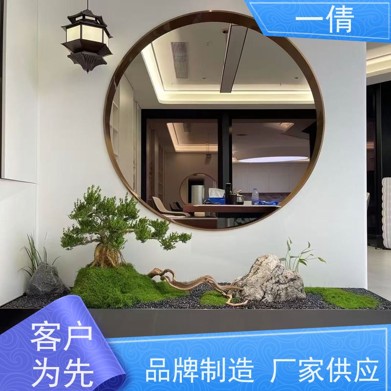 一倩花卉 室内 60盆四季桔 绿植出售 桌面绿植 花木护理