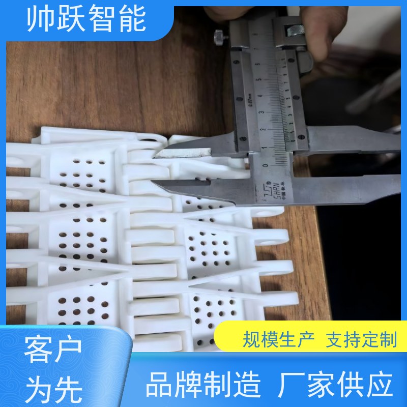 帅跃智能 养殖场输送带 瓶盖塑料链板 品质可靠 按图定制