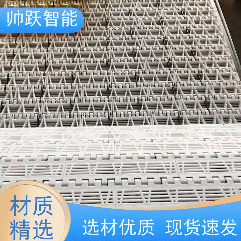帅跃智能 瓶装灌装食品流水线 瓶盖塑料链板 支持加工定制