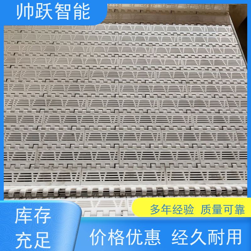 帅跃智能 耐酸碱耐磨塑料网带 提盖机链板 支持加工定制