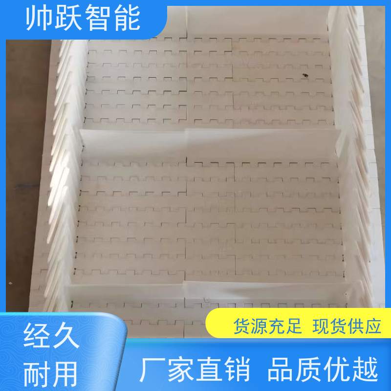 帅跃智能 快递分拣流水线 瓶盖塑料链板 适用于工业行业