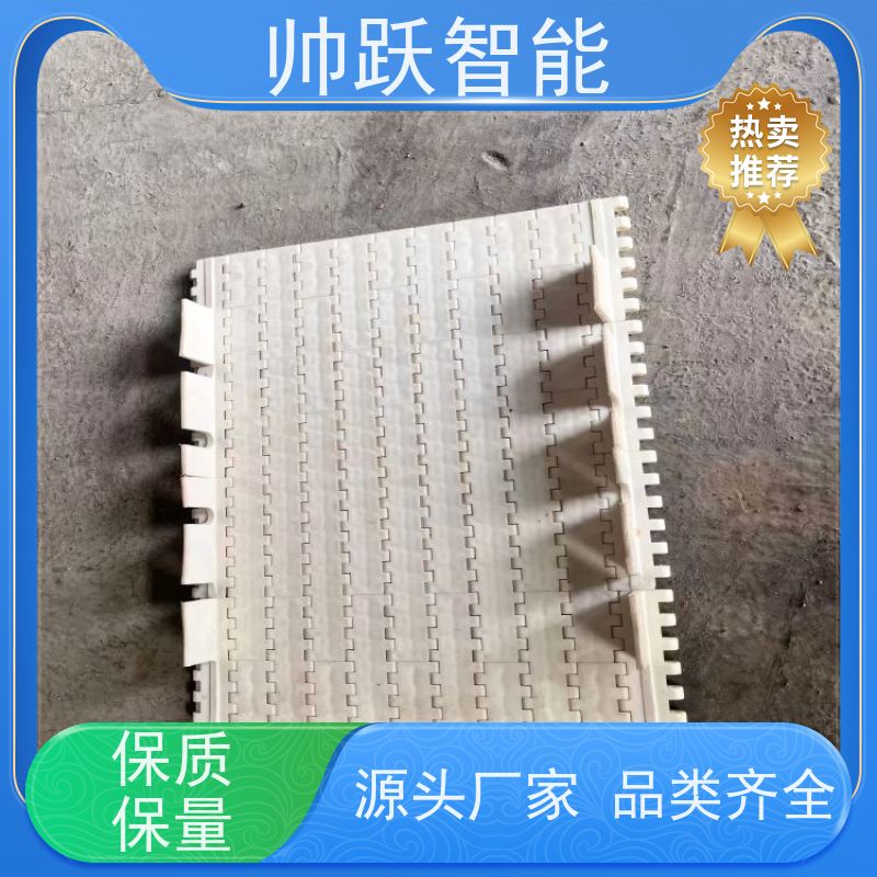 帅跃智能 巴氏消毒输送带 OPB圆孔塑料链板 适用于工业行业
