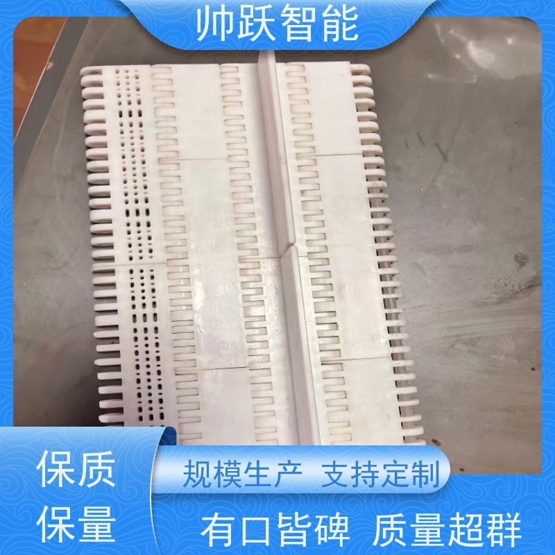 帅跃智能 纸张印刷流水线 水产分拣塑料链板 品质可靠 按图定制