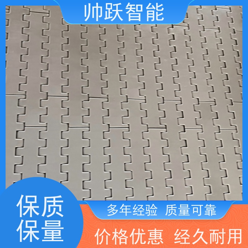帅跃智能 养殖场输送带 肉类屠宰塑料链板 适用于工业行业