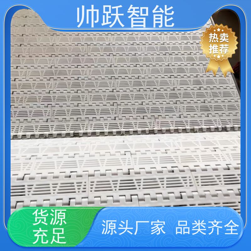 帅跃智能 洗碗机输送带 瓶盖塑料链板 防粘性佳耐腐蚀