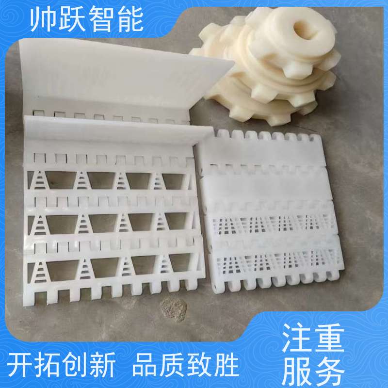 帅跃智能 巴氏消毒输送带 提盖机链板 品质可靠 按图定制