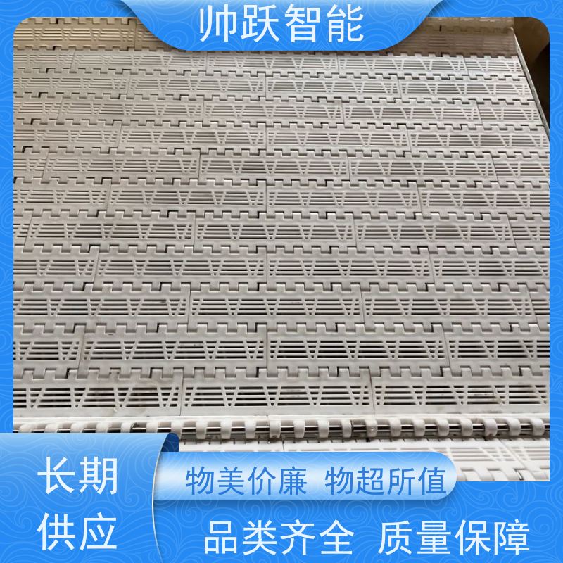帅跃智能 巴氏消毒输送带 瓦楞纸箱塑料链板 防粘性佳耐腐蚀