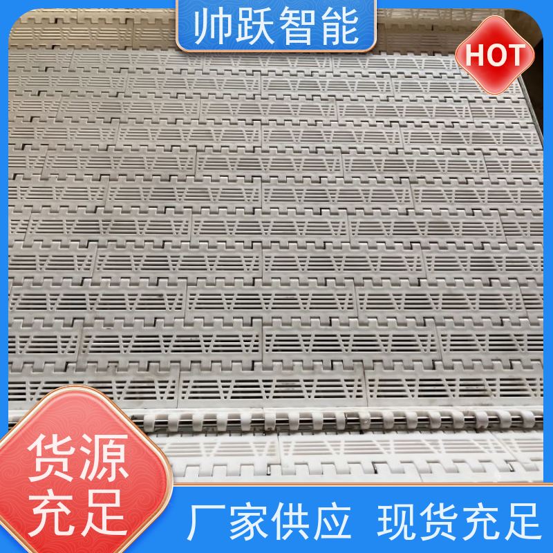 帅跃智能 食品输送带经久耐用 瓶盖塑料链板 品质可靠 按图定制