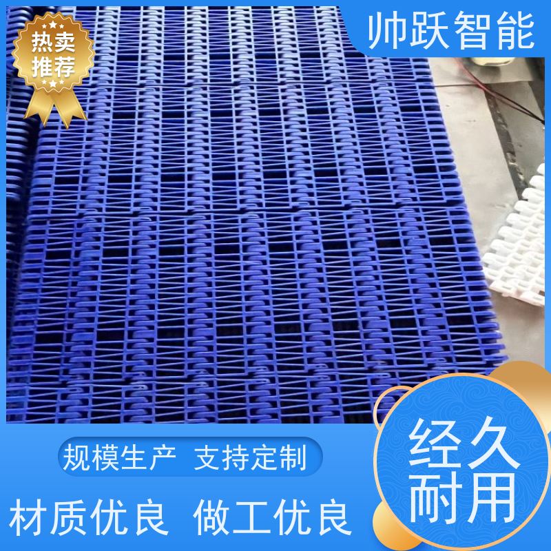 帅跃智能 快递分拣流水线 肉类屠宰塑料链板 品质可靠 按图定制