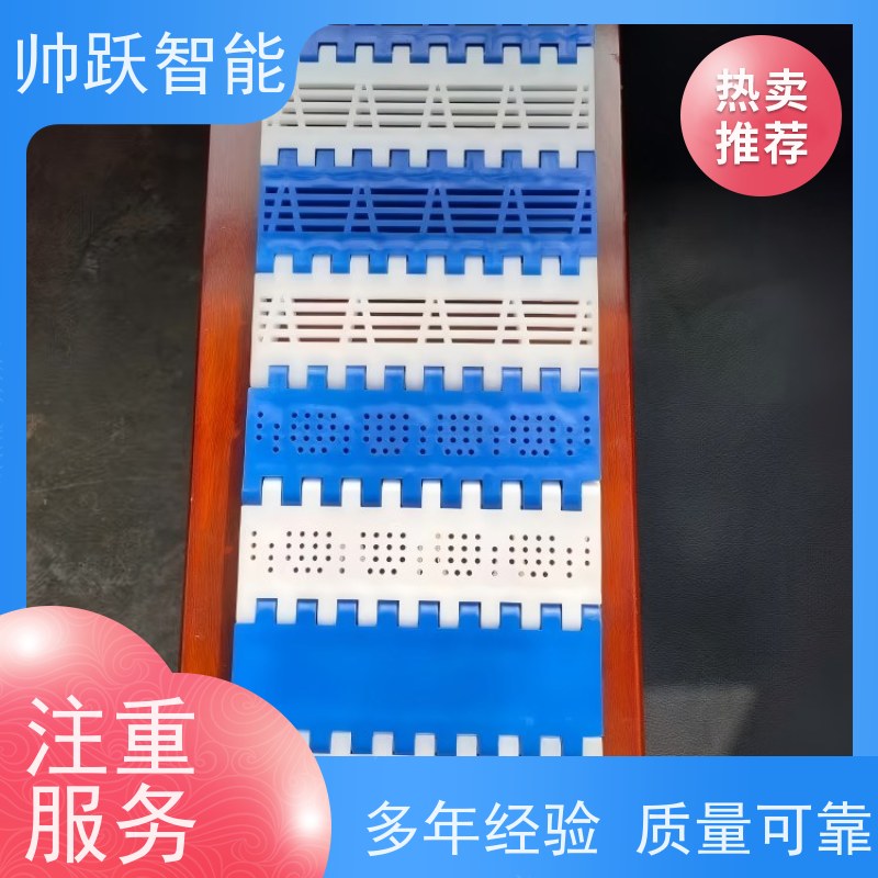 帅跃智能 洗碗机输送带 OPB圆孔塑料链板 适用于工业行业